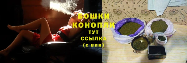 индика Зерноград