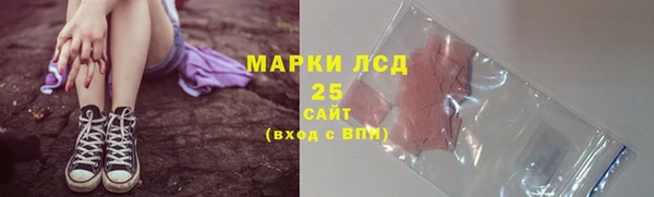 индика Зерноград