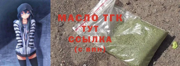 индика Зерноград