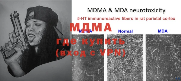 индика Зерноград