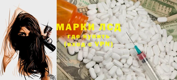 индика Зерноград