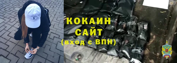 индика Зерноград